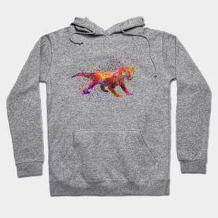 Dinogorgon in watercolor Hoodie